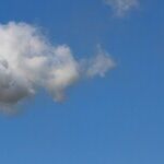 On Climate Threat, States Refuse to Surrender