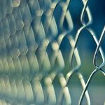 Democrats Need an Immigration Policy Fast