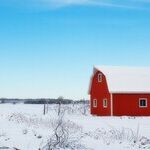 The Self-Destruction of US Farmers