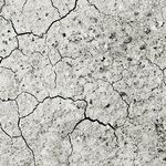 Climate Change Has Minor Winners and Big Losers