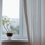 Watering Plants Is Actually Good for You