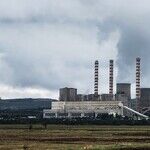 The Virus Slightly Cools the Planet. Can It Do More?