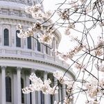 Democrats Should Look at the Only Partly Cloudy Side