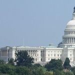 Democrats Don't Have to Be Dumb