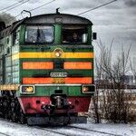 The Russian Fatherland Is Losing the Fathers