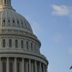 They Voted Big 'D' Democrats to Save Small 'd' Democracy