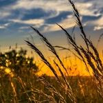 What Warming Might Do to New England