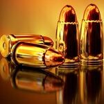 Politics and the Michigan Mass Shooting