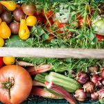 All Food on the Table Comes from a Farm. Right?