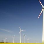 Don't Want Green Energy Jobs? We'll Take Them