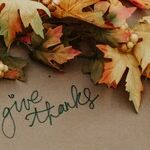 The Zen of Thanksgiving