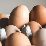 Egg Prices Are Totally Donald Trump's Fault!