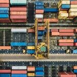 Trade War: The Pain Starts with Shame