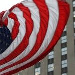 Can American Democracy Rebuild After Trump?