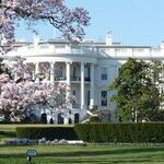 The 'Smart' Party and the 'Dumb' Party