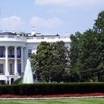 Democracy and Donald Trump