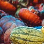 On Liberty and Thanksgiving