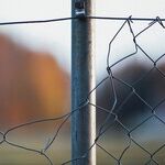 Biden's Border Crisis: Criminals, COVID-19 and Congestion