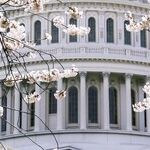 Are You Watching the Jan. 6 Hearings?