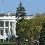 Trump's White House Makeover Rankles Washington