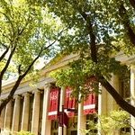 The Bonfire of the Academies