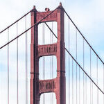San Francisco Is Needle City