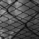 Stanford Offender Got a Life Sentence