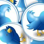 Nero Fiddles, Twitter Burns