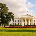 The All-Trump Election
