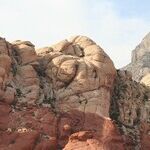 Trump Has Yet to Be Clear on Intent for Yucca