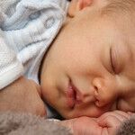 To DACA Perchance to Dream