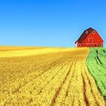 Pressure Builds for Trump to Change Federal Ethanol Mandate