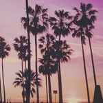 Can't Recall -- What's Next for California?