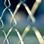 Biden Border Policy: Criminals Welcome