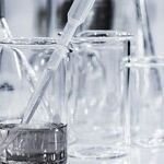 What Does Science Have to Do With Transgender Politics? Nothing
