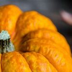 Don't Be a Turkey on Thanksgiving