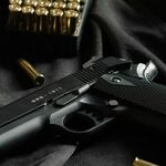 Actor Mel Gibson Wants His Gun Rights Back