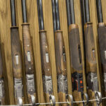 The Second Amendment Without Scalia