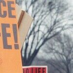 When Conservatives Love Overregulation
