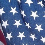 Trump, Sheriff Joe and the Thrill of Arbitrary Power