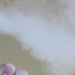 E-Cigarettes Can Be Lifesavers
