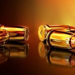 The Second Amendment 'Has Become Optional'