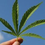 5 Things Canada Got Right When It Legalized Pot: What We Can Learn from Our Northern Neighbors