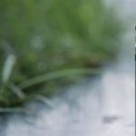 Restricting E-Cigarette Flavors Endangers Public Health: The FDA's Decree Will Make Vaping Less Appealing and Less Accessible to Smokers Interested in Switching