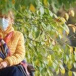 A Scientific Review Shows the CDC Grossly Exaggerated the Evidence Supporting Mask Mandates: The Analysis Found That Wearing Masks in Public 'Probably Makes Little or No Difference'