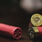 A Blatantly Unconstitutional Gun Edict Highlights the Hazards of Emergency Powers: New Mexico Gov. Michelle Lujan Grisham Thinks Violent Crime Gives Her a License to Rule by Decree