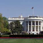 An Establishment in Panic