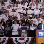 Brownshirts & Republican Wimps