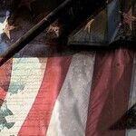 An Establishment in Panic