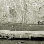 Nixon's Revenge: The Fall of the Adversary Press